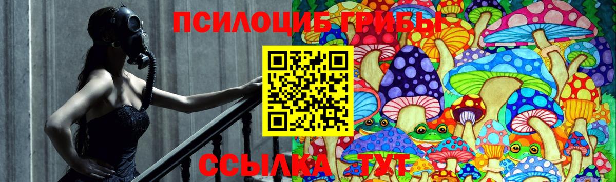 Владивосток  Галлюциногенные грибы прущие грибы  Вход с VPN 
