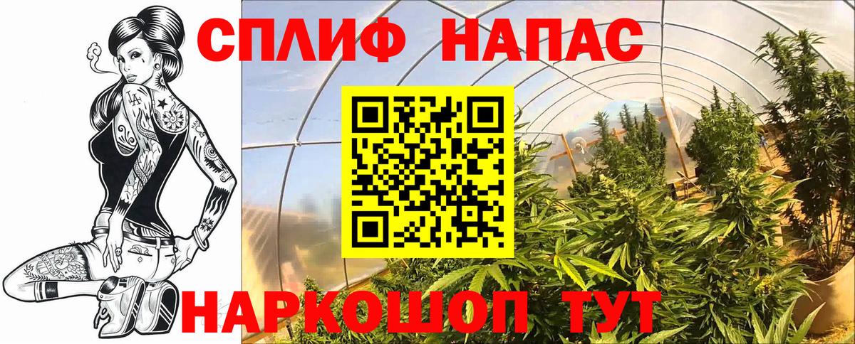 Бошки Шишки OG Kush  Бошки марихуана конопля  Вход с VPN  Марихуана AK-47  Владивосток 